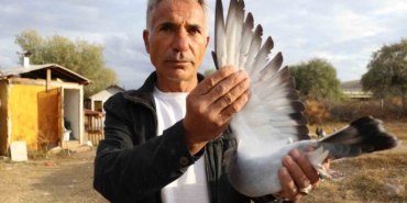 degeri-yarim-milyondan-fazla-yurt-disindan-bile-talep-goruyor-Vly9UFO6.jpg