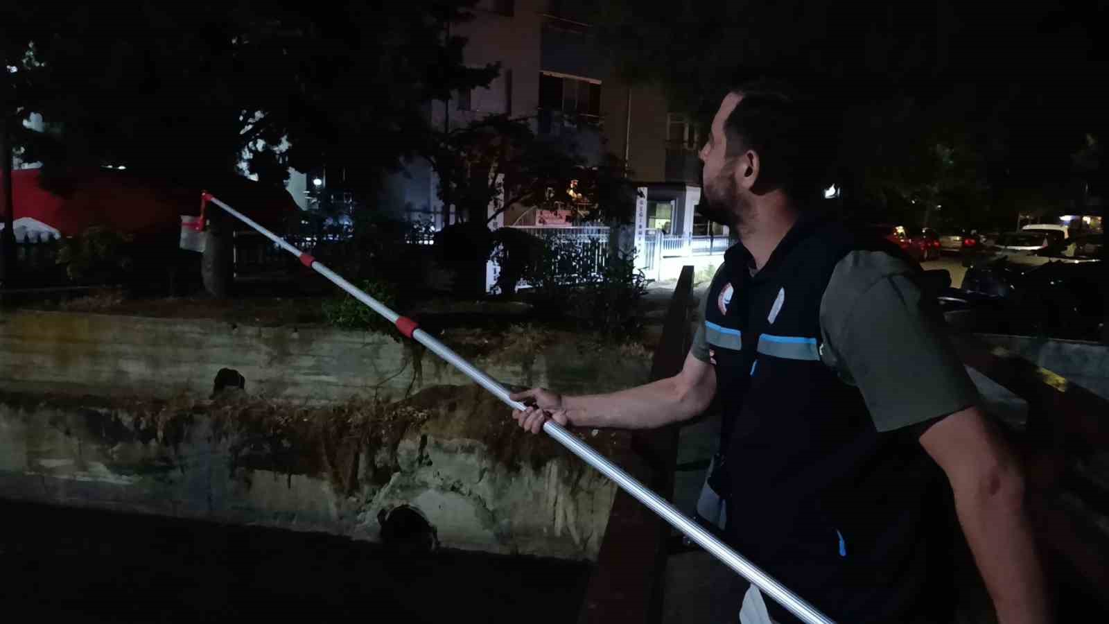 degirmenalti deresinde balik olumleri inceleniyor kurumlar seferber oldu 7 DS2QKuKc