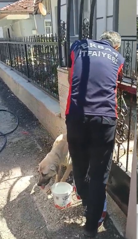 Demir kapıya sıkışan köpeği itfaiye kurtardı 4 demir kapiya sikisan kopegi itfaiye kurtardi 0 fI7uC42H