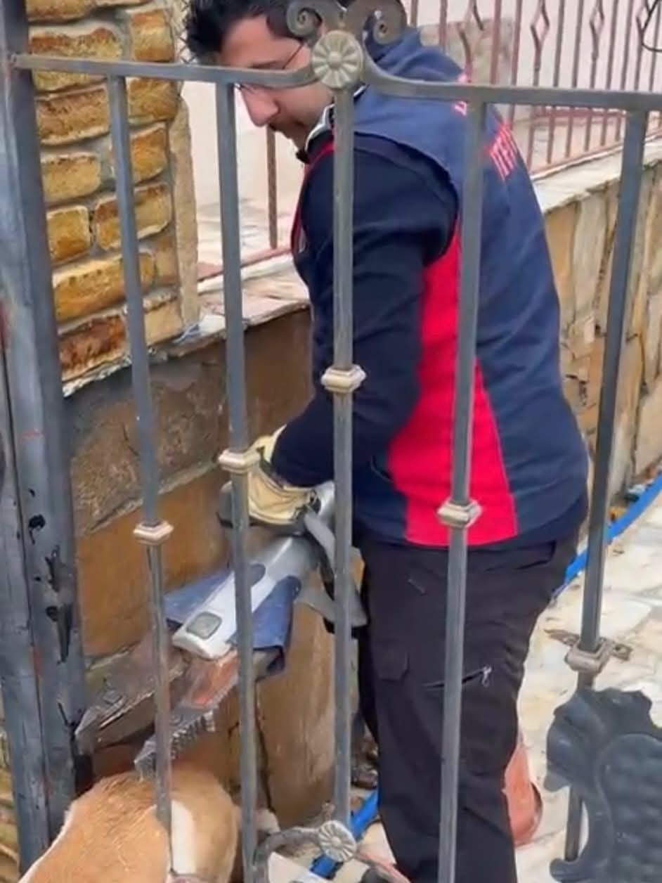 Demir korkuluklara sıkışan köpeği itfaiye kurtardı 5 demir korkuluklara sikisan kopegi itfaiye kurtardi 1 J6OU78Gs
