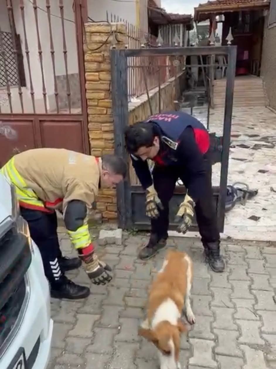 Demir korkuluklara sıkışan köpeği itfaiye kurtardı 6 demir korkuluklara sikisan kopegi itfaiye kurtardi 2 UYKyluXF