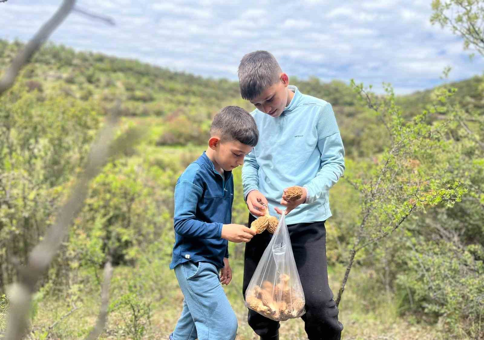 Demirci dağlarında 2 bin liralık kuzu göbeği mesaisi 4 demirci daglarinda 2 bin liralik kuzu gobegi mesaisi 0 LjXtCBpA