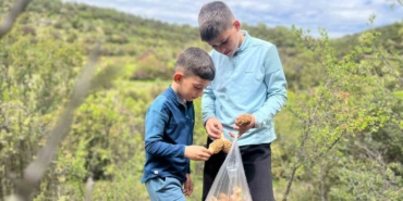 demirci-daglarinda-2-bin-liralik-kuzu-gobegi-mesaisi-S9BlBWP2.jpg