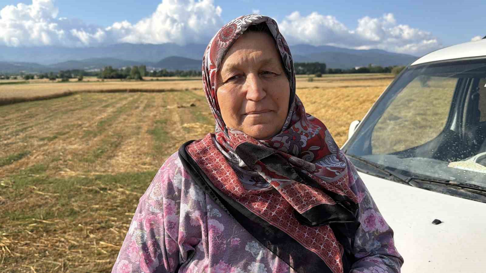Demirini satmak için yaktıkları kanepe, 10 dönümlük tarlayı küle çevirdi 8 demirini satmak icin yaktiklari kanepe 10 donumluk tarlayi kule cevirdi 4 dQ6z5XlS