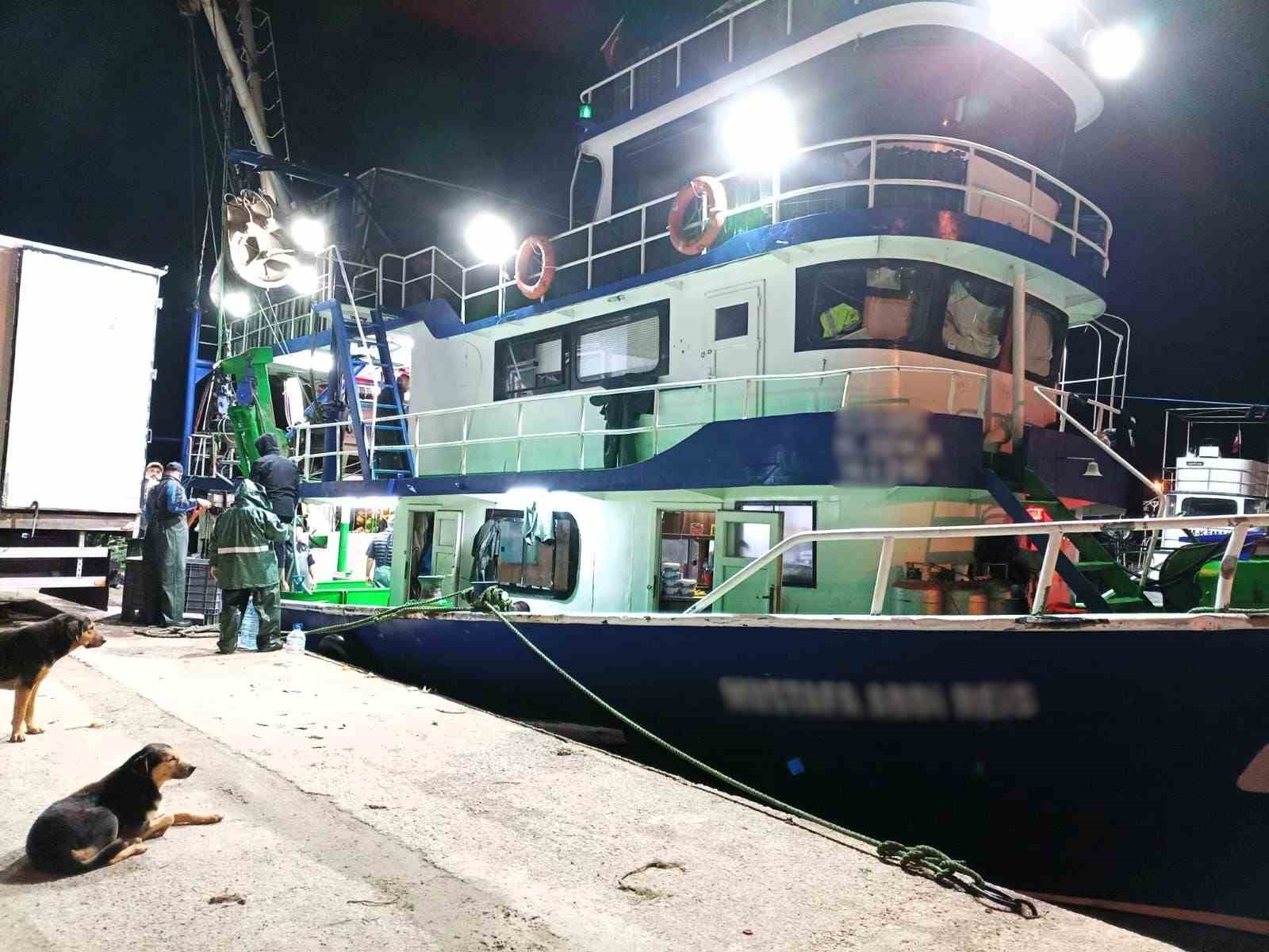 demirkoyde hamsi denetimi 1 lWhHpShT