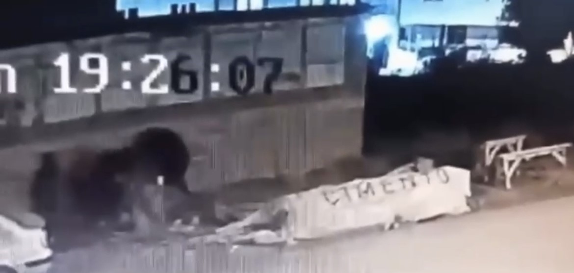 demirtasta basibos kopek dehseti 3 kisi yaralandi 1 M2gtQm8r