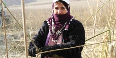 deneme-amacli-ekilen-kenevirde-ilk-hasat-yapildi-ciftciler-icin-onemli-bir-gelir-kapisi-olabilir-LpevMVb9.jpg