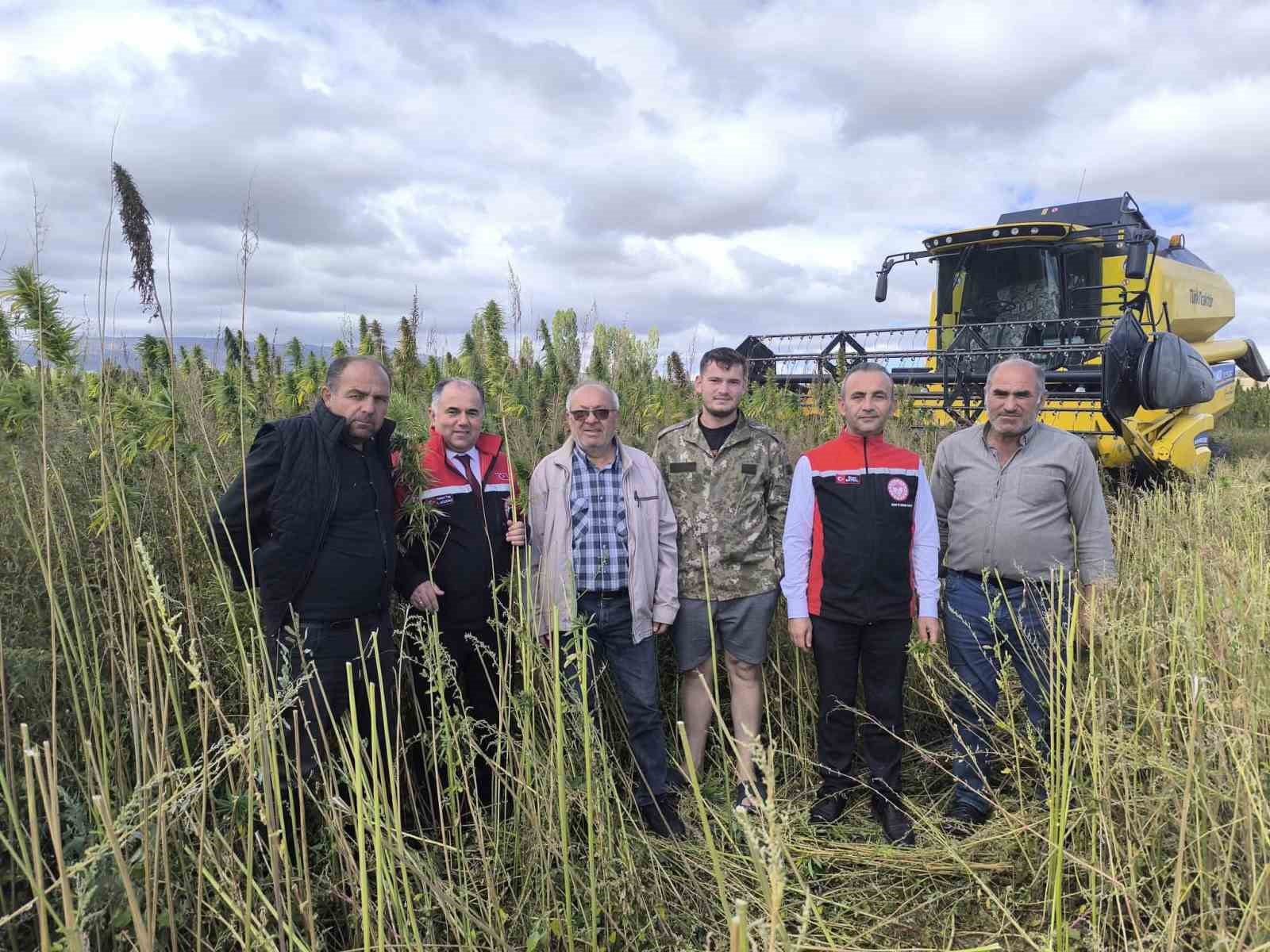 Deneme amaçlı ekilen kenevirde ilk hasat yapıldı: Çiftçiler için önemli bir gelir kapısı olabilir 19 deneme amacli ekilen kenevirde ilk hasat yapildi ciftciler icin onemli bir gelir kapisi olabilir v1NL6pUL