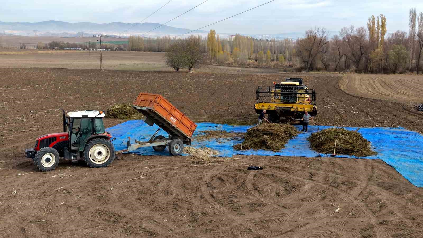 Deneme amaçlı ekilen kenevirde ilk hasat yapıldı: Çiftçiler için önemli bir gelir kapısı olabilir 9 deneme amacli ekilen kenevirde ilk hasat yapildi ciftciler icin onemli bir gelir kapisi olabilir