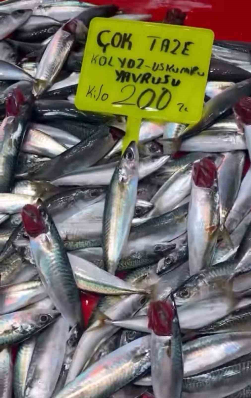 denetim geldi gercek ortaya cikti tezgahtaki balik kolyoz cikti 2 cSu6pHqc