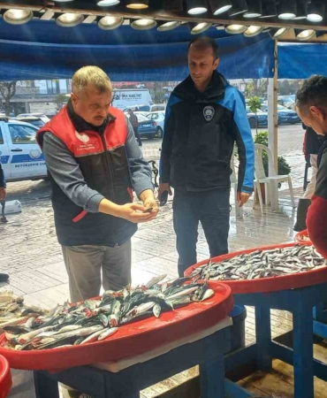 denetim-geldi-gercek-ortaya-cikti-tezgahtaki-balik-kolyoz-cikti-kzQslW8y.jpg