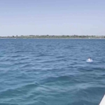 deniz-yatagiyla-aciga-suruklenen-cocugu-sahil-guvenlik-kurtardi-sczK4tjV.jpg