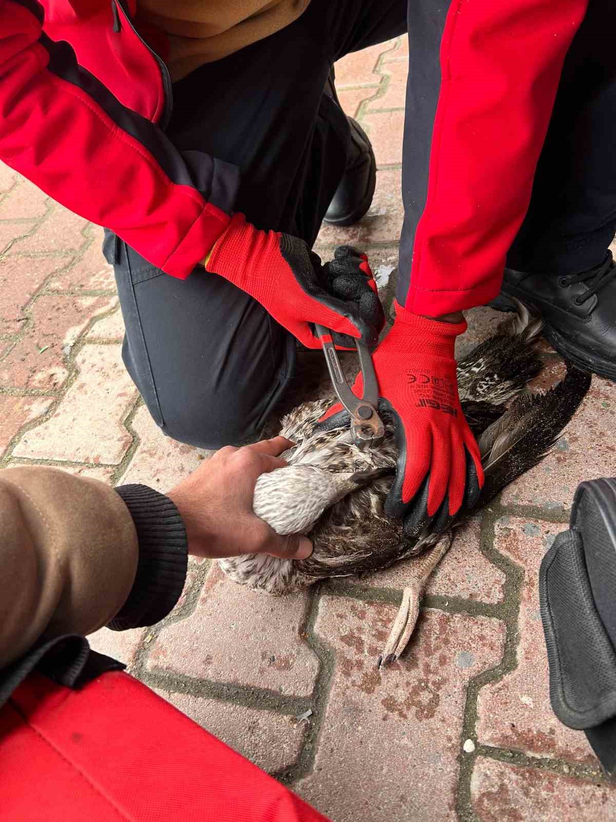 denizde can mucadelesi martiyi 911 ekipleri kurtardi 1 9nJgpKEU