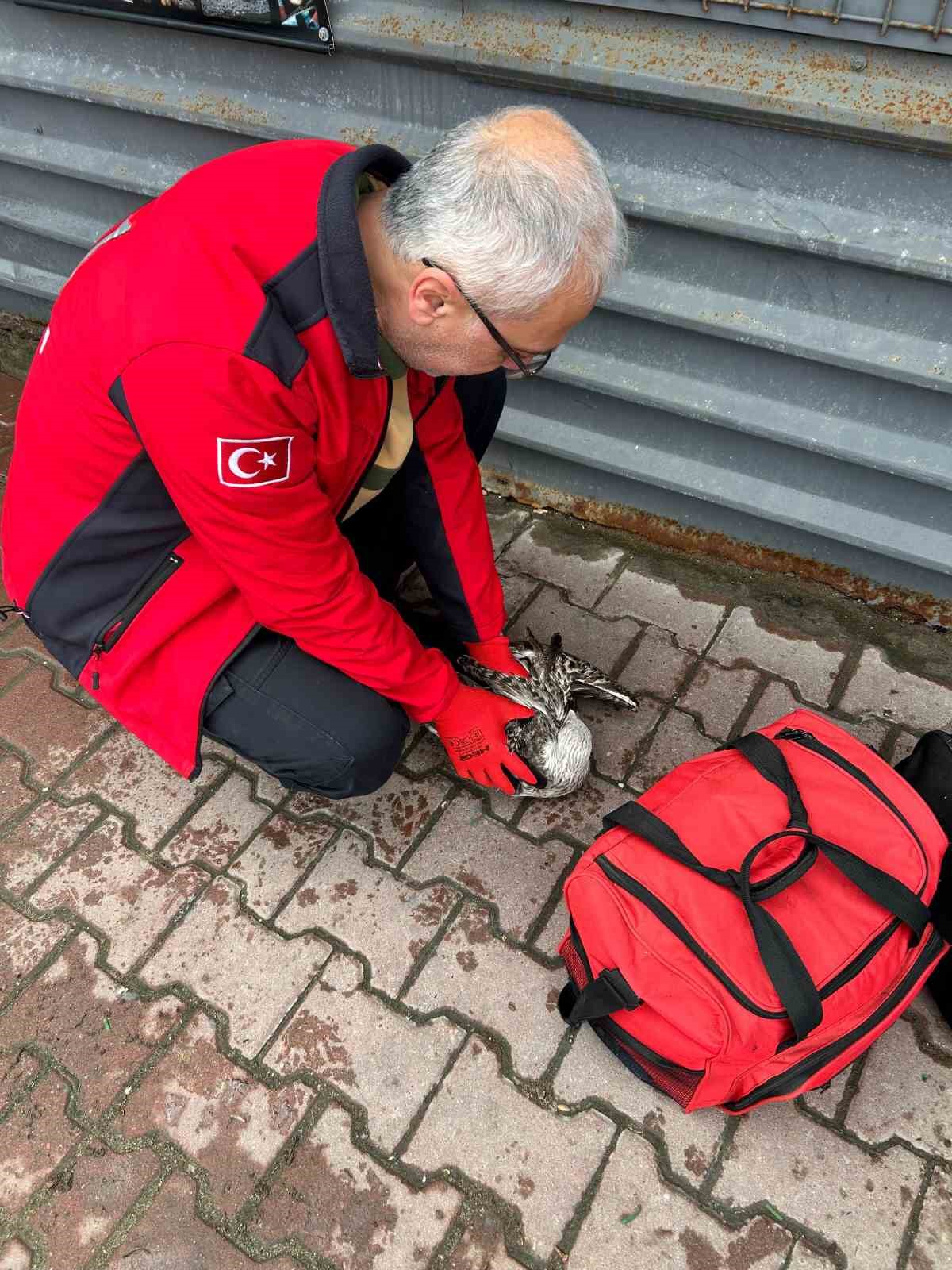 denizde can mucadelesi martiyi 911 ekipleri kurtardi 2
