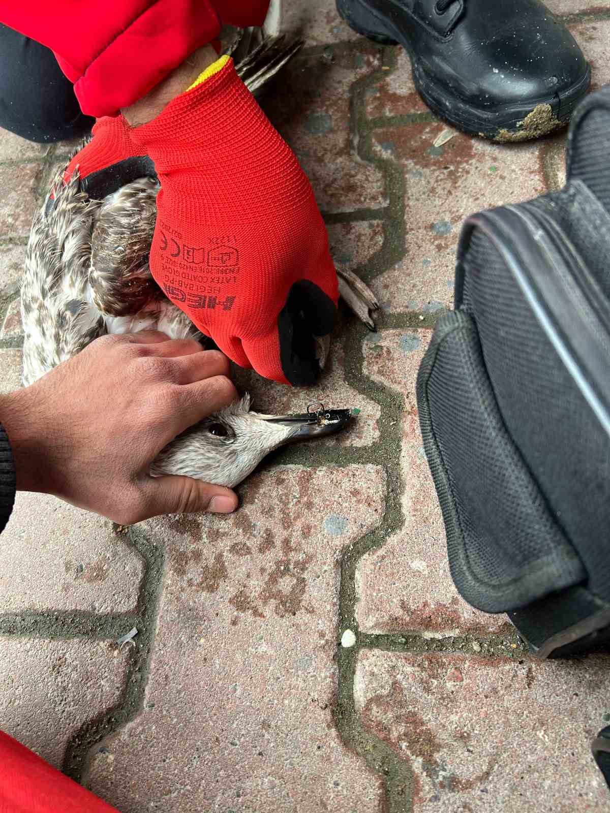 denizde can mucadelesi martiyi 911 ekipleri kurtardi 4 vgl58AEz