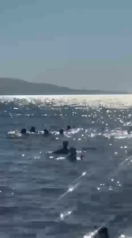 Denizde dubaların dışına çıkan baba ve iki kızı ölüm tehlikesi atlattı 5 denizde dubalarin disina cikan baba ve iki kizi olum tehlikesi atlatti 1 zPNHvLFF