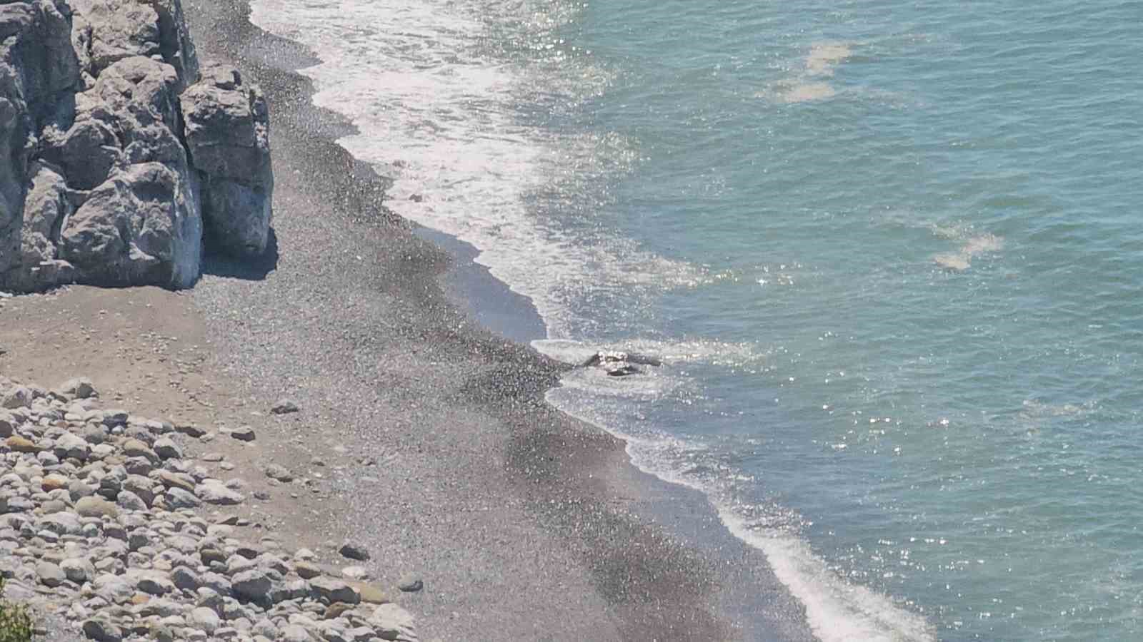denizdeki ceset ihbari kaya cikti 1 eWwQHCLM