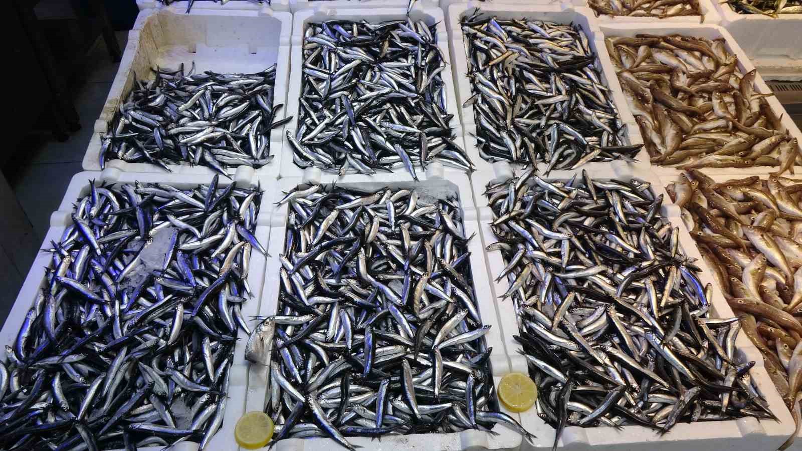 denizdeki hamsi bollugu ihracat rakamlarina yansimadi 1