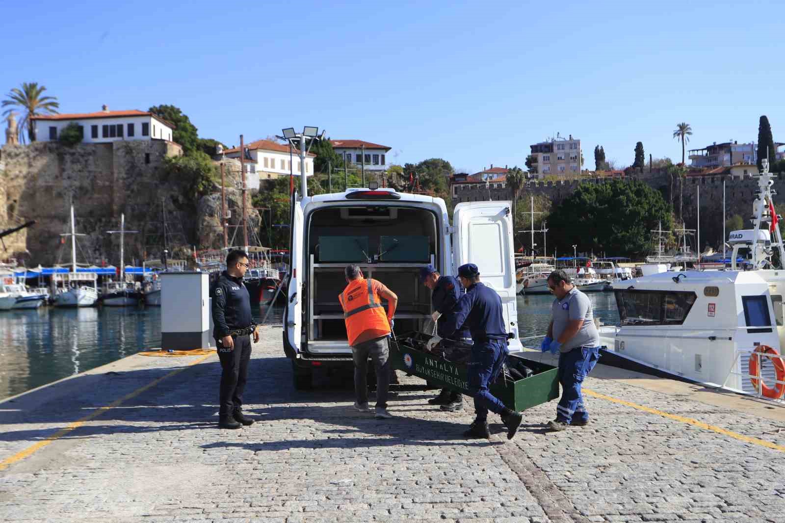 denizden cesedi bulunan kiz cocugunun kimligi belirlendi aile gozyaslarina boguldu 2 yNUhGAfQ