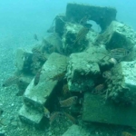 denize-dusen-beton-agirliklardan-yapay-resif-olusturdular-mHPs2uGY.jpg