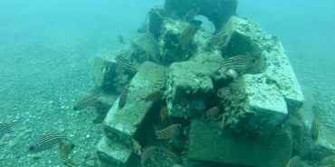 denize-dusen-beton-agirliklardan-yapay-resif-olusturdular-mHPs2uGY.jpg