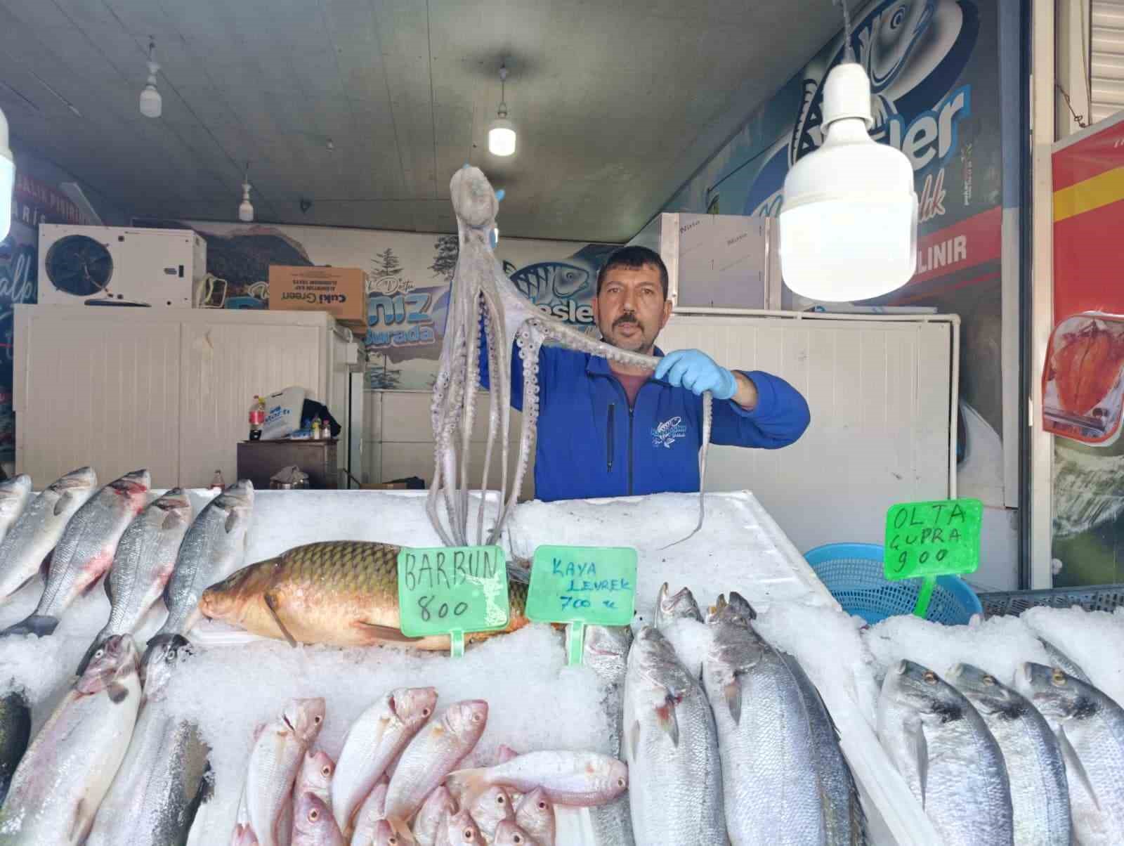 denize kiyisi olmayan kahramanmarasta baliga yogun ilgi 0 GkuW84OU