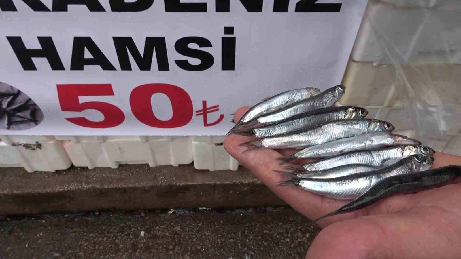 denize kiyisi olmayan sehirde hamsinin kilosu 50 tlye dustu vatandas poset poset aldi 1 EqetDK62