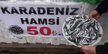 denize-kiyisi-olmayan-sehirde-hamsinin-kilosu-50-tlye-dustu-vatandas-poset-poset-aldi-Cv91eFL6.jpg