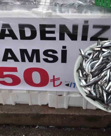 denize-kiyisi-olmayan-sehirde-hamsinin-kilosu-50-tlye-dustu-vatandas-poset-poset-aldi-Cv91eFL6.jpg