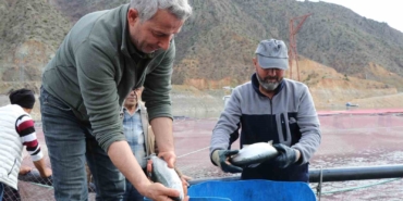 denizi-olmayan-erzurumda-yilda-300-tona-yakin-balik-uretiyorlar-FwDE3uNN.jpg