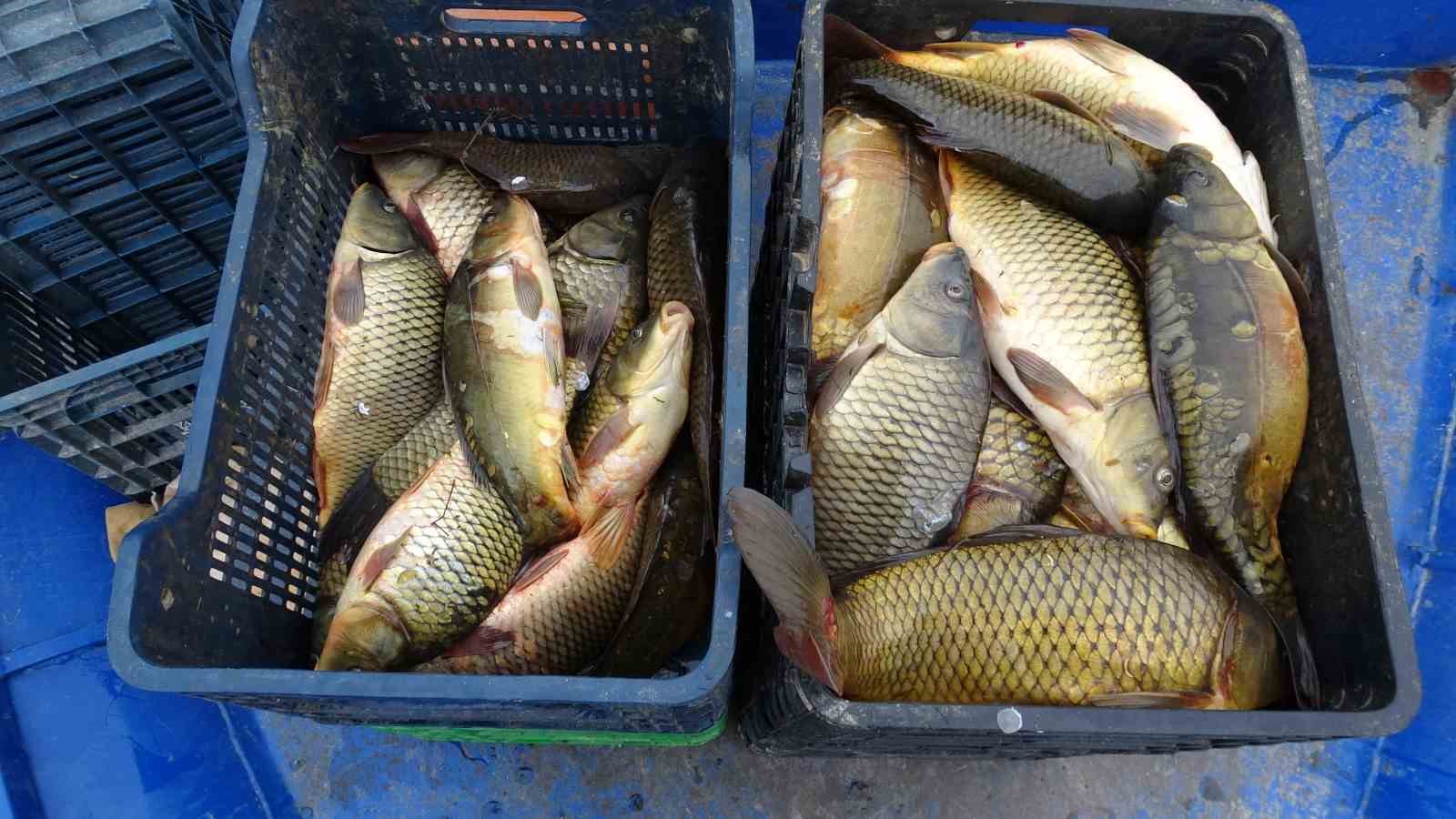 denizi olmayan malatyada balik ihracati 3 TKSmHm7g