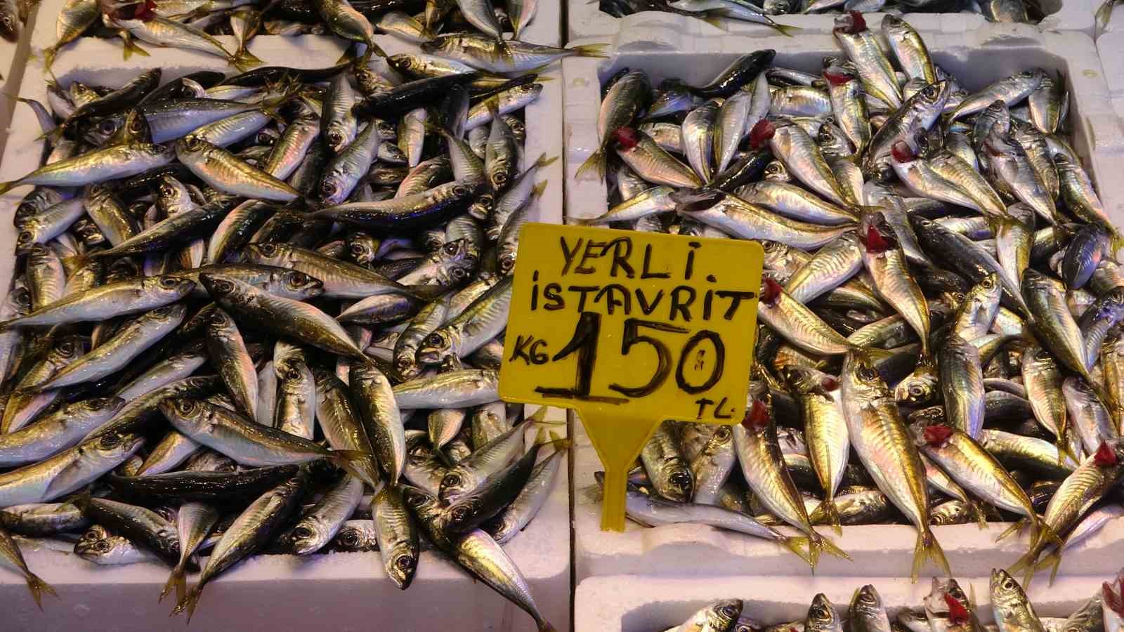 denizlerde av yasaginin baslamasinin ardindan tezgahlar kultur baliklarina kaldi 1 OW7E6aCF