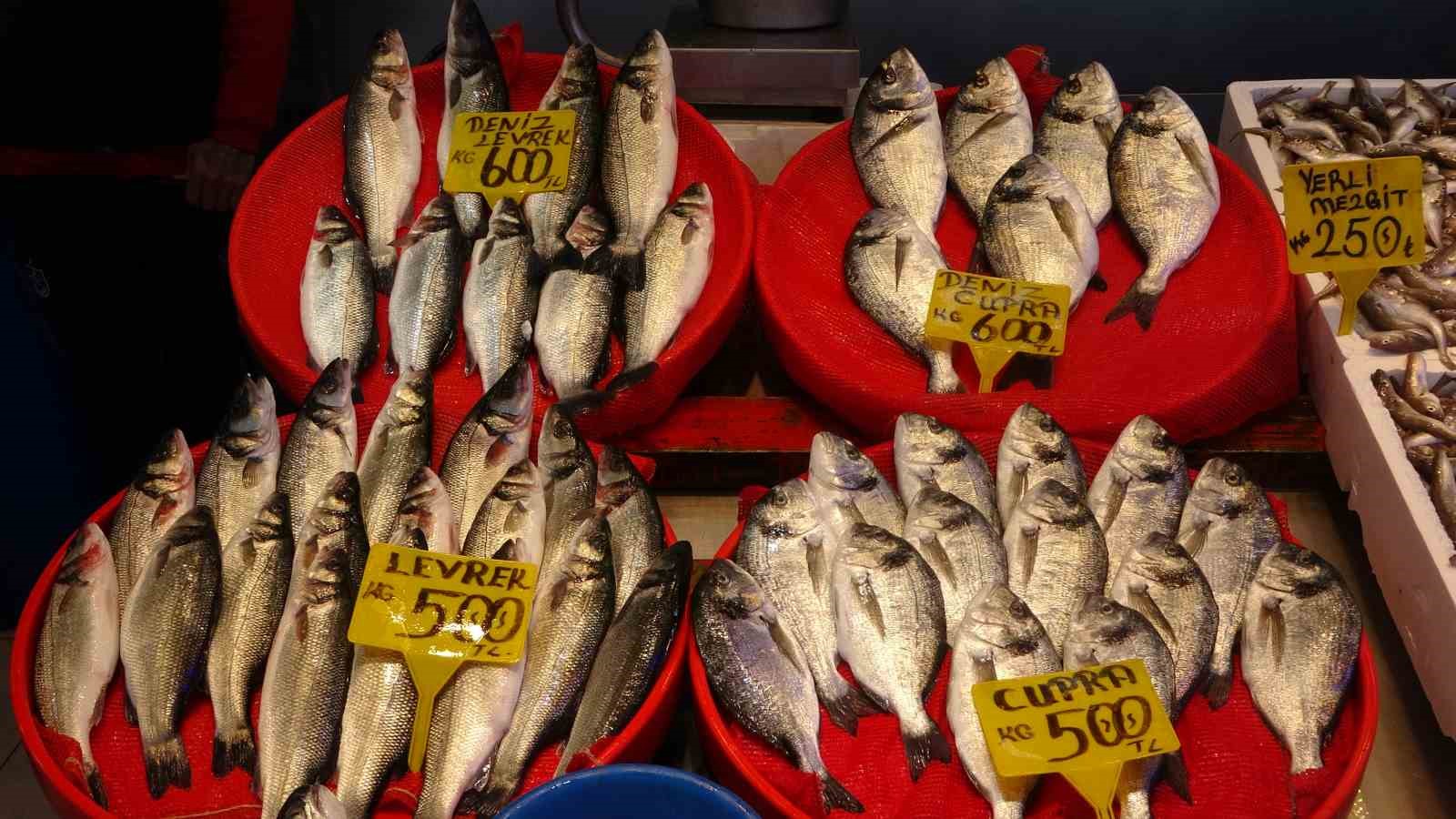 denizlerde av yasaginin baslamasinin ardindan tezgahlar kultur baliklarina kaldi 3 3jMcT3yk