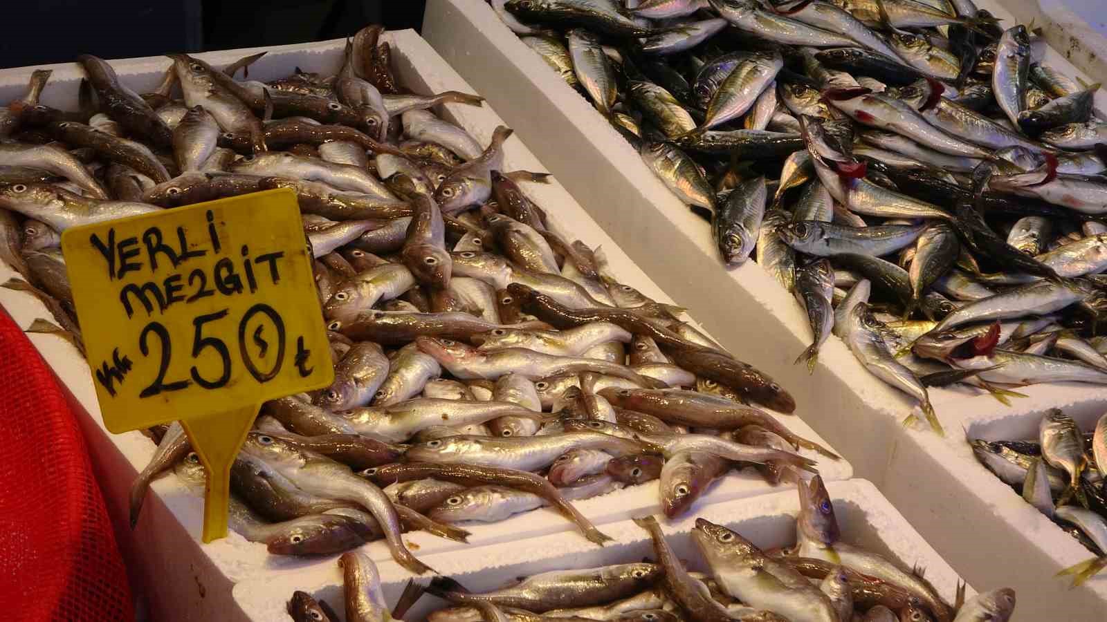denizlerde av yasaginin baslamasinin ardindan tezgahlar kultur baliklarina kaldi 4 WrIC78cl