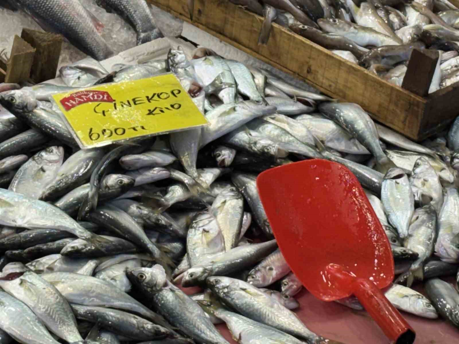 denizlerdeki durgunluk tezgaha yansidi 3 wwaGWMHJ