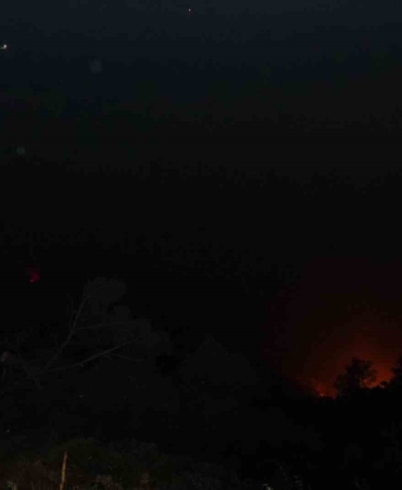 denizlideki-orman-yangini-gece-saatlerinde-ruzgarin-etkisiyle-tekrardan-etkili-oldu-VpFvOaLG.jpg