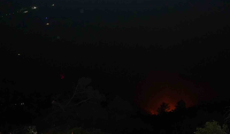 denizlideki-orman-yangini-gece-saatlerinde-ruzgarin-etkisiyle-tekrardan-etkili-oldu-VpFvOaLG.jpg
