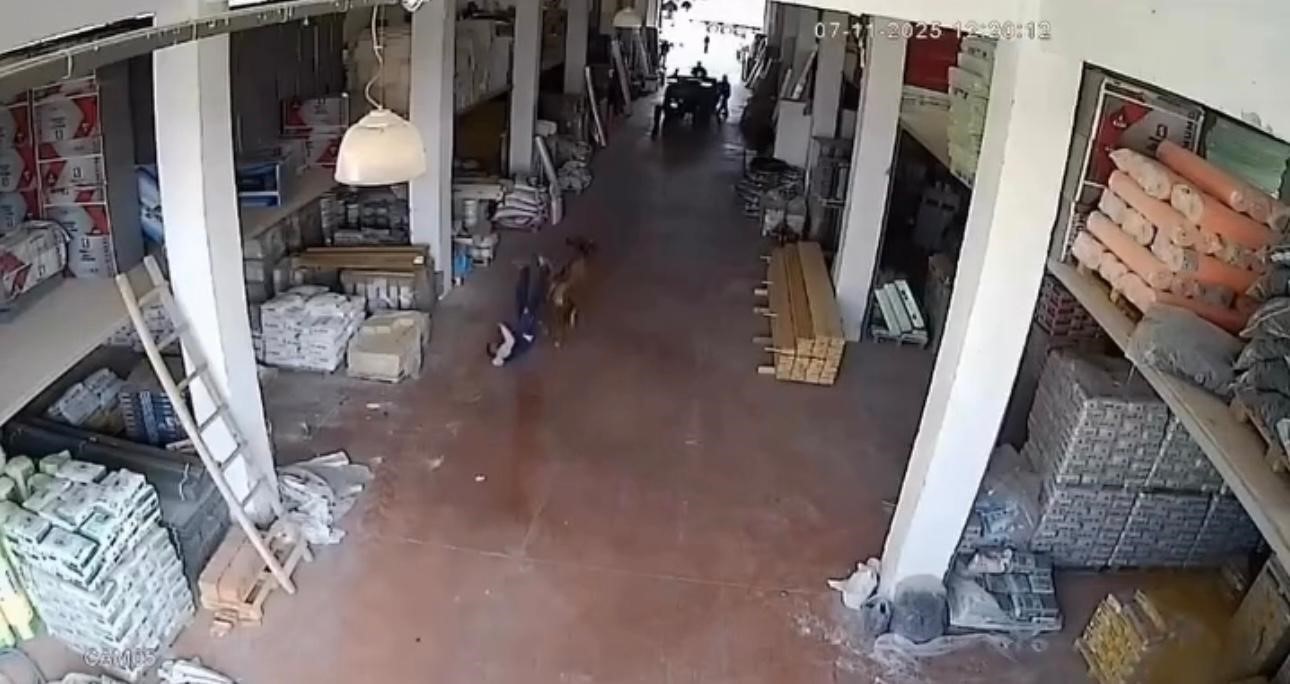 depoya giren inek calisanlara saldirdi vatandaslar guclukle kurtuldu 0 qRdtAcCL