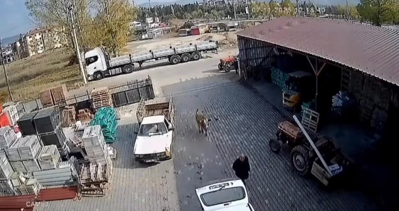 depoya giren inek calisanlara saldirdi vatandaslar guclukle kurtuldu 1 tsnceFpn