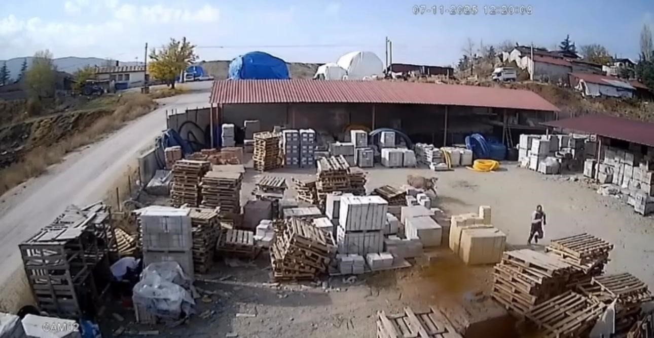 depoya giren inek calisanlara saldirdi vatandaslar guclukle kurtuldu 3 UvIm3LX8