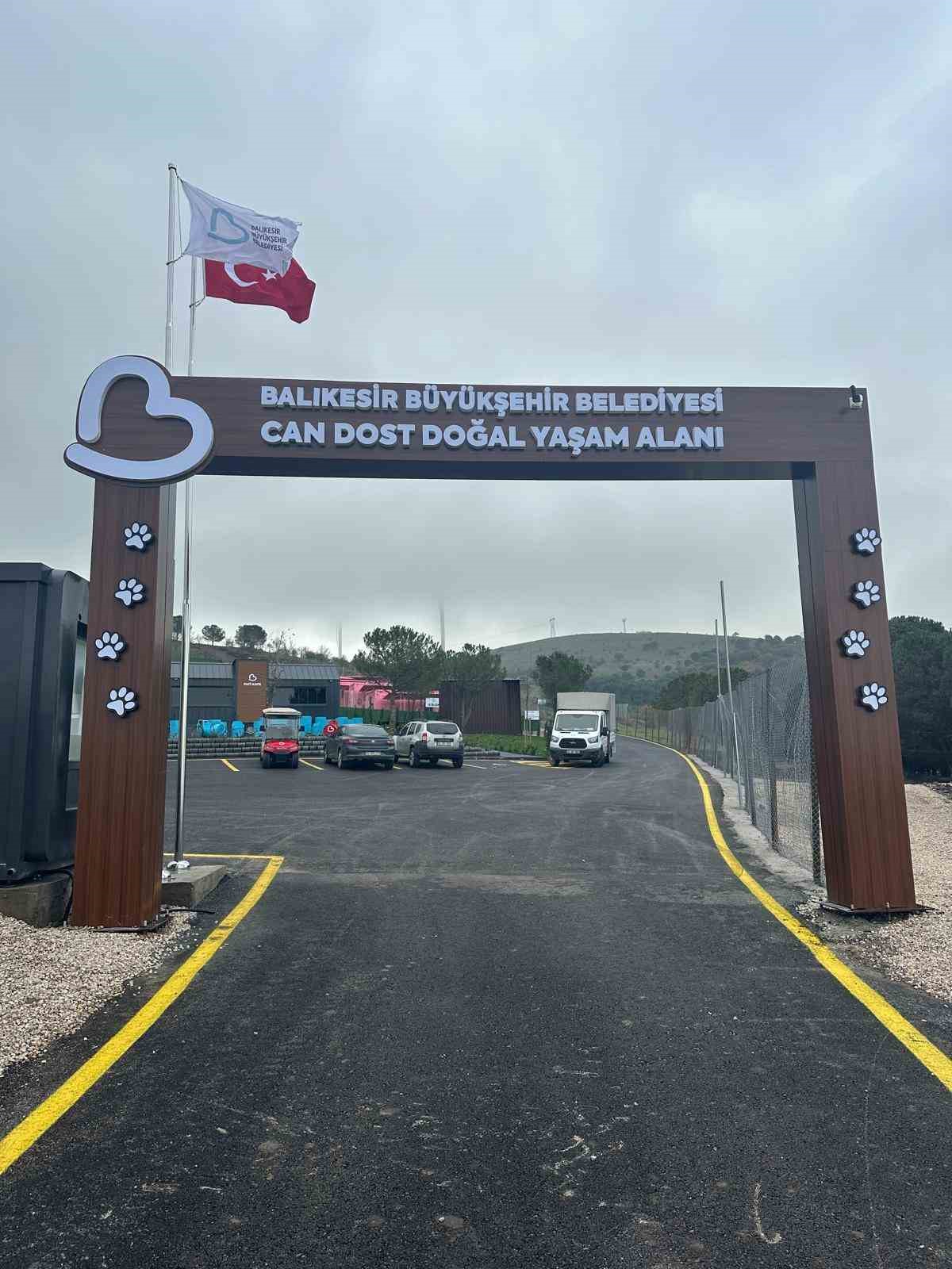 deprem bolgesinde eskidi balikesirde can dostlara ev oldu 3 9K7nNRkm