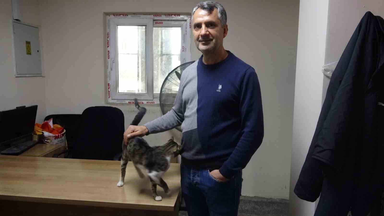 depremde kaybolan ve 44 gun sonra kadir diyerek bulabildigi otogarin maskotu kedisine gozu gibi MbWVK67s