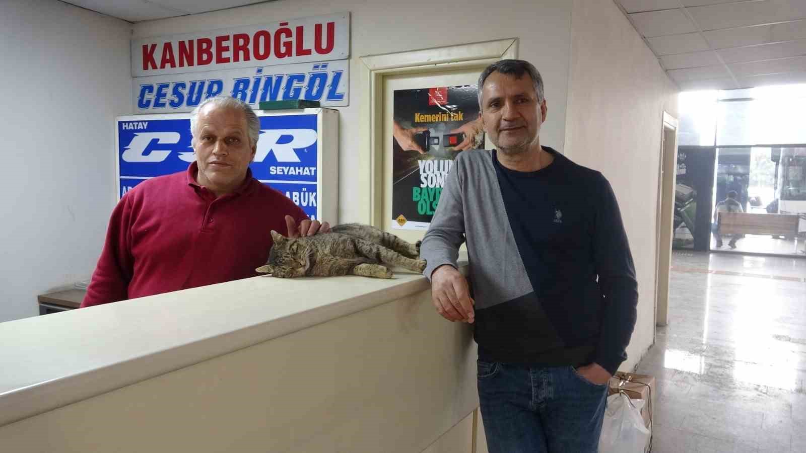 depremde kaybolan ve 44 gun sonra kadir diyerek bulabildigi otogarin maskotu kedisine gozu gibi bN2mDhNX