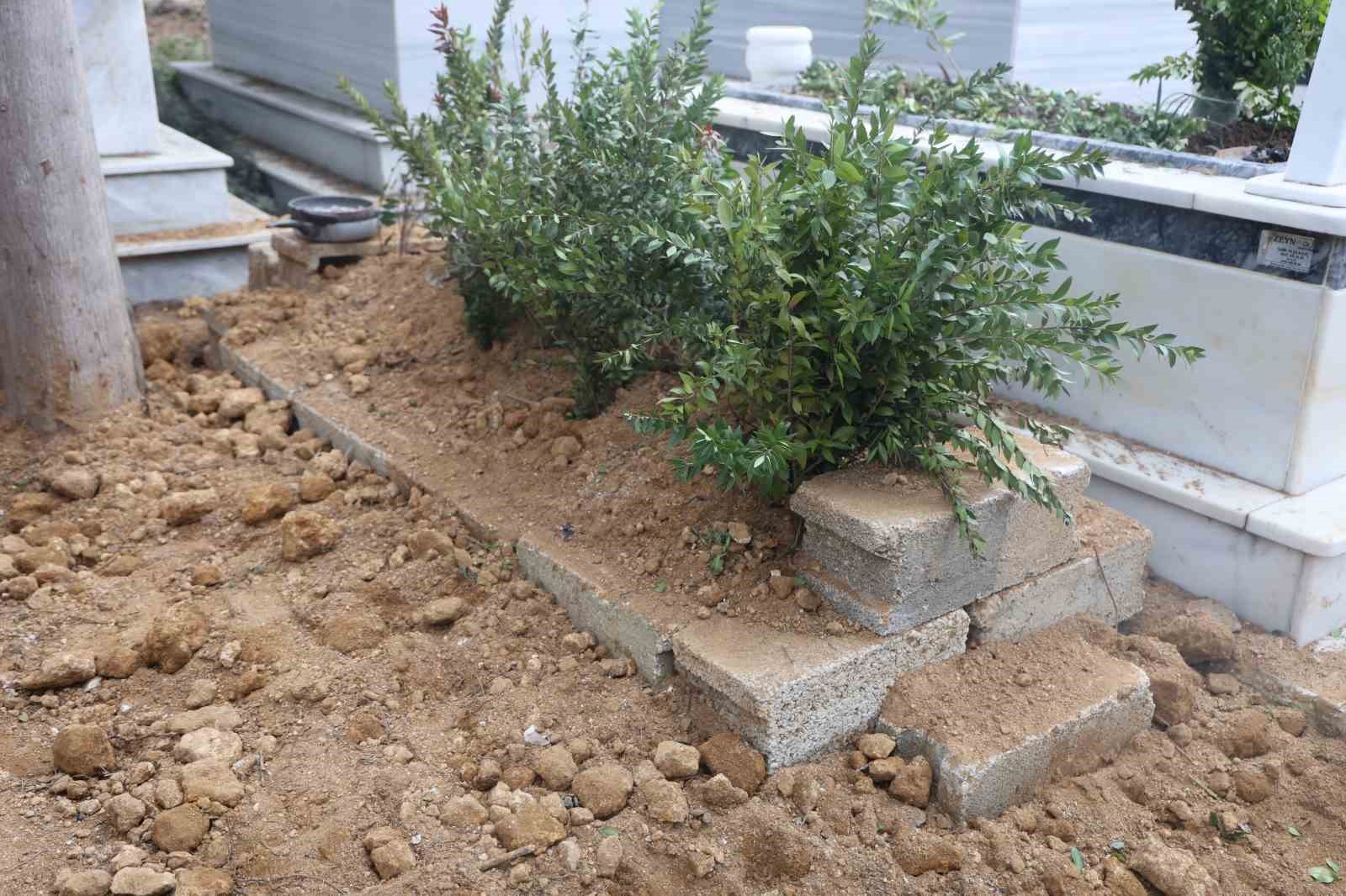 Depremle birlikte öksüz ve yetim kalan siyam ikizi kardeşleri 9 yaşında ölüm ayırdı 5 depremle birlikte oksuz ve yetim kalan siyam ikizi kardesleri 9 yasinda olum ayirdi 1 2knbqk57