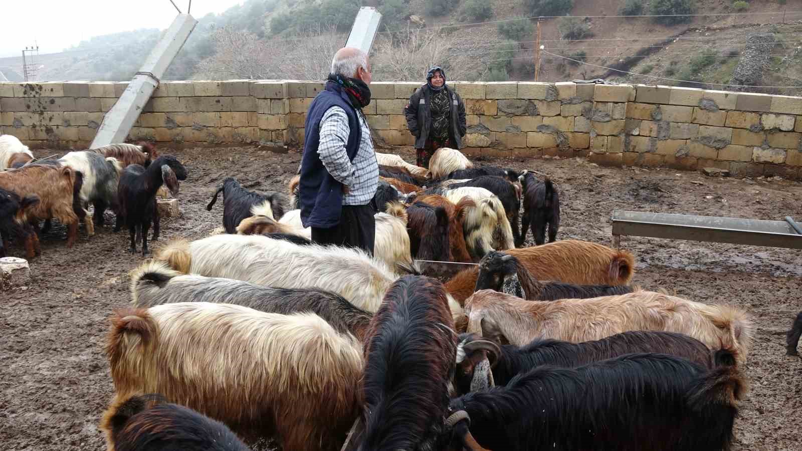 depremzede besici devlet destegiyle hayata tutundu 2 vSpFOyIy