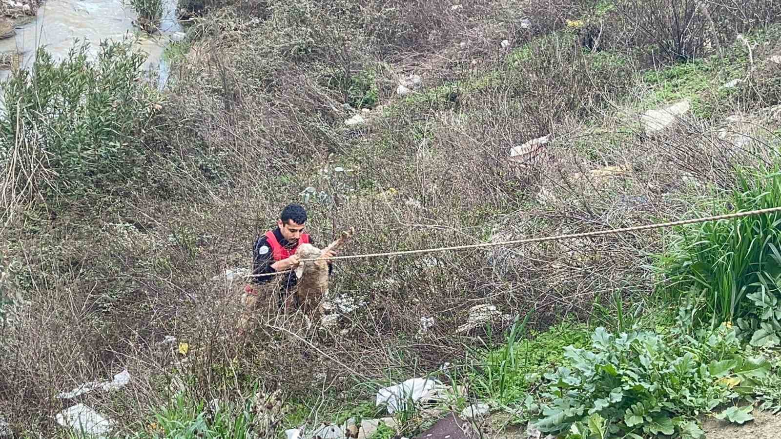 dere yatagina dusen oglagi kurtarmak isteyen kadin mahsur kaldi 2 BSSLLFe1