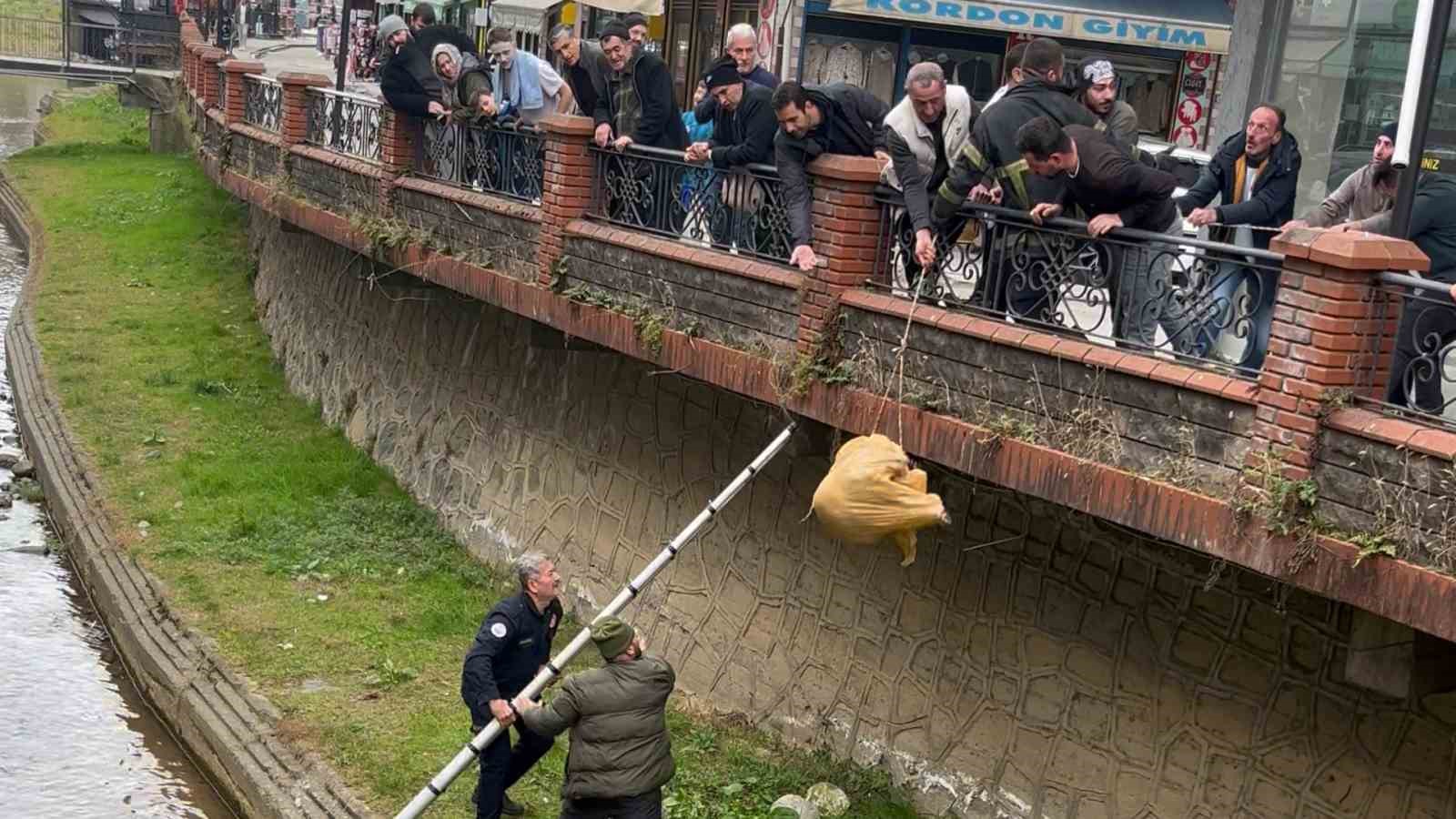 dere yataginda mahsur kalan kopek itfaiye ve vatandasin yardimiyla kurtarildi 0 vHdYHZyz