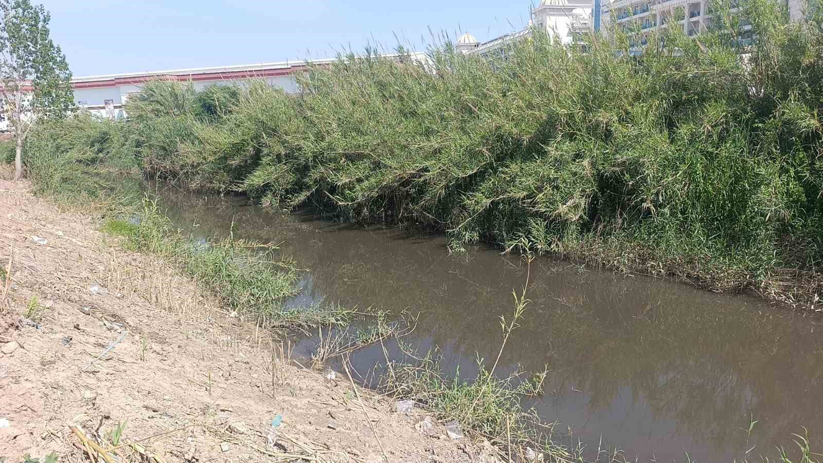 Dereden gelen sular denizi kahverengiye bürüdü, turistler sahili boşalttı 6 dereden gelen sular denizi kahverengiye burudu turistler sahili bosaltti 2