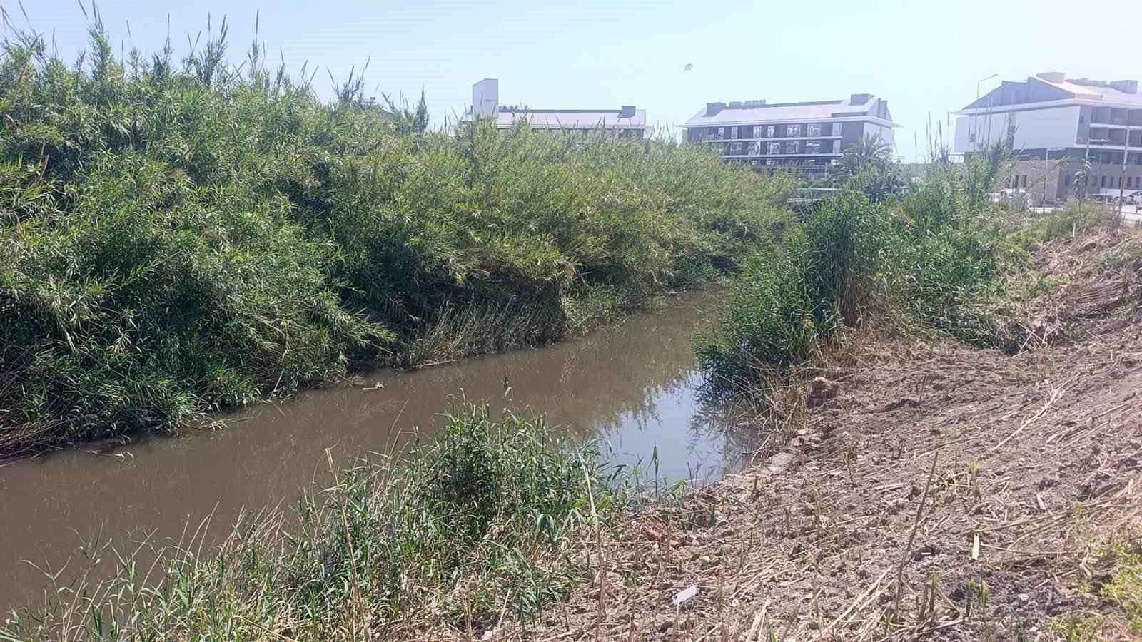Dereden gelen sular denizi kahverengiye bürüdü, turistler sahili boşalttı 7 dereden gelen sular denizi kahverengiye burudu turistler sahili bosaltti 3 t6VTcECP