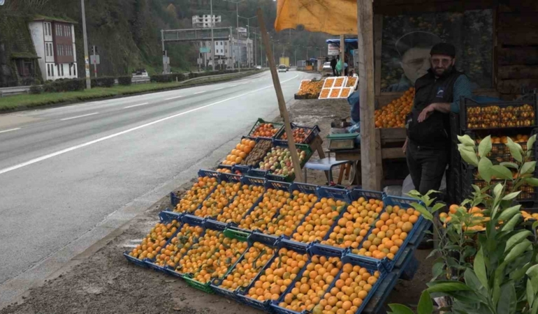 derepazari-mandalinasinda-hasat-basladi-ltOnRJLv.jpg